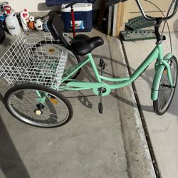 Adult Tricycle