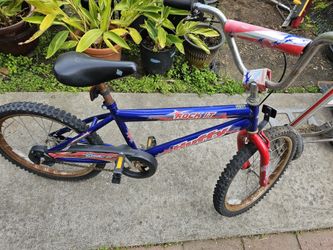 Kids Bike