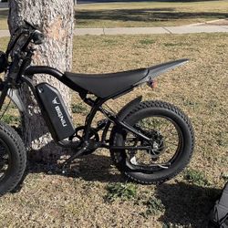 Bignui Bgs Almost Brand New (TRADE ONLY)