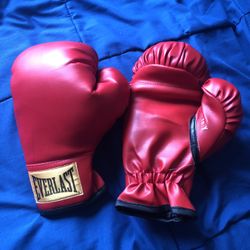 Youth Boxing Gloves