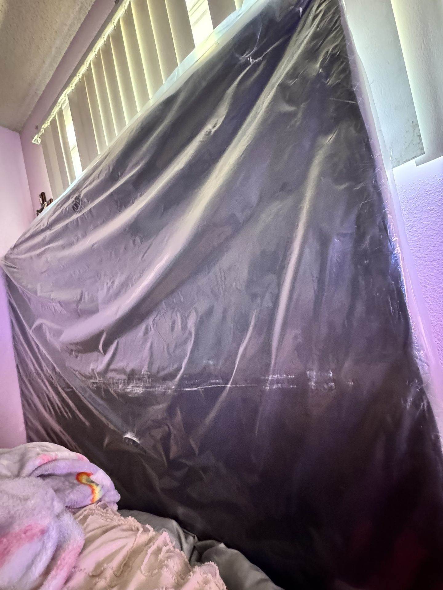 Box Spring