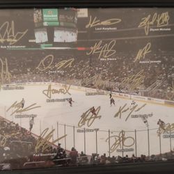 Arizona Phoenix Coyotes 