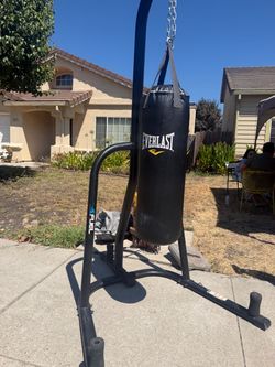 Everlast punching bag and more