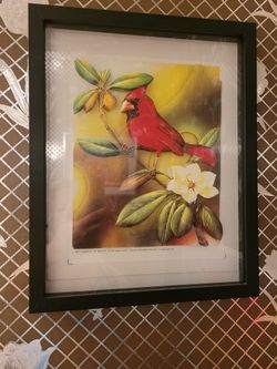 3 D Any Picture For You ..theme Gifts