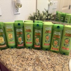 Garnier Fructis Shampoo & Conditioner 