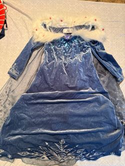 Disney Elsa Dress & Wig  - Kids Size 6/7