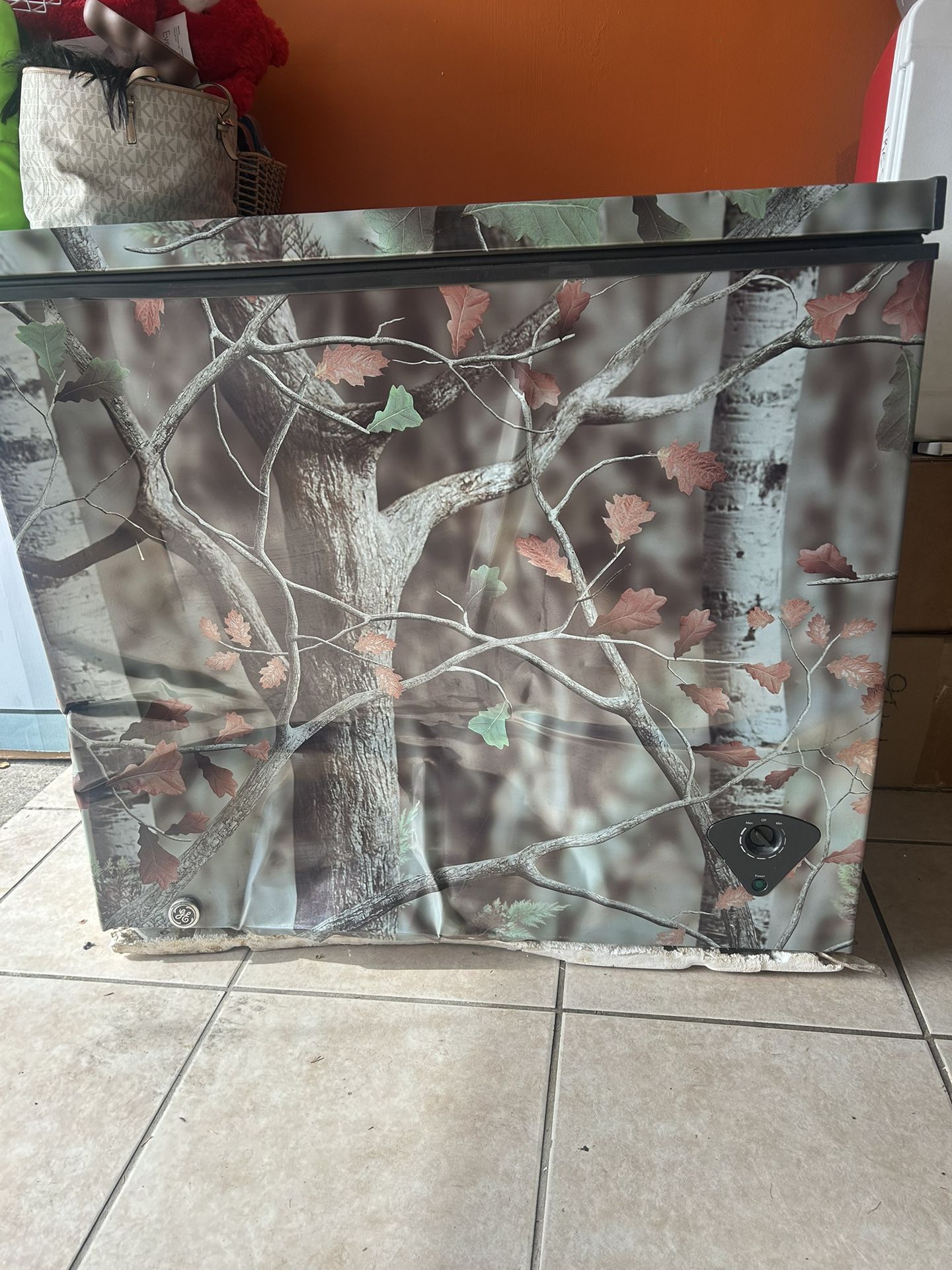 GE Forest Deep Freezer