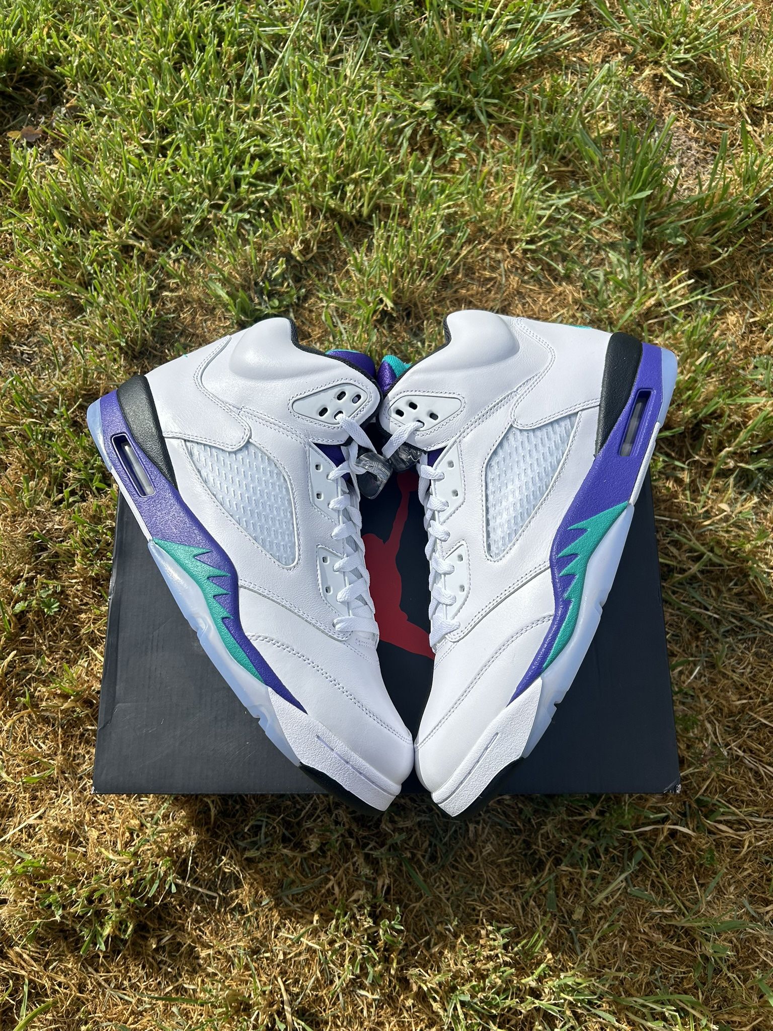 Grape Jordan 5s Size 13