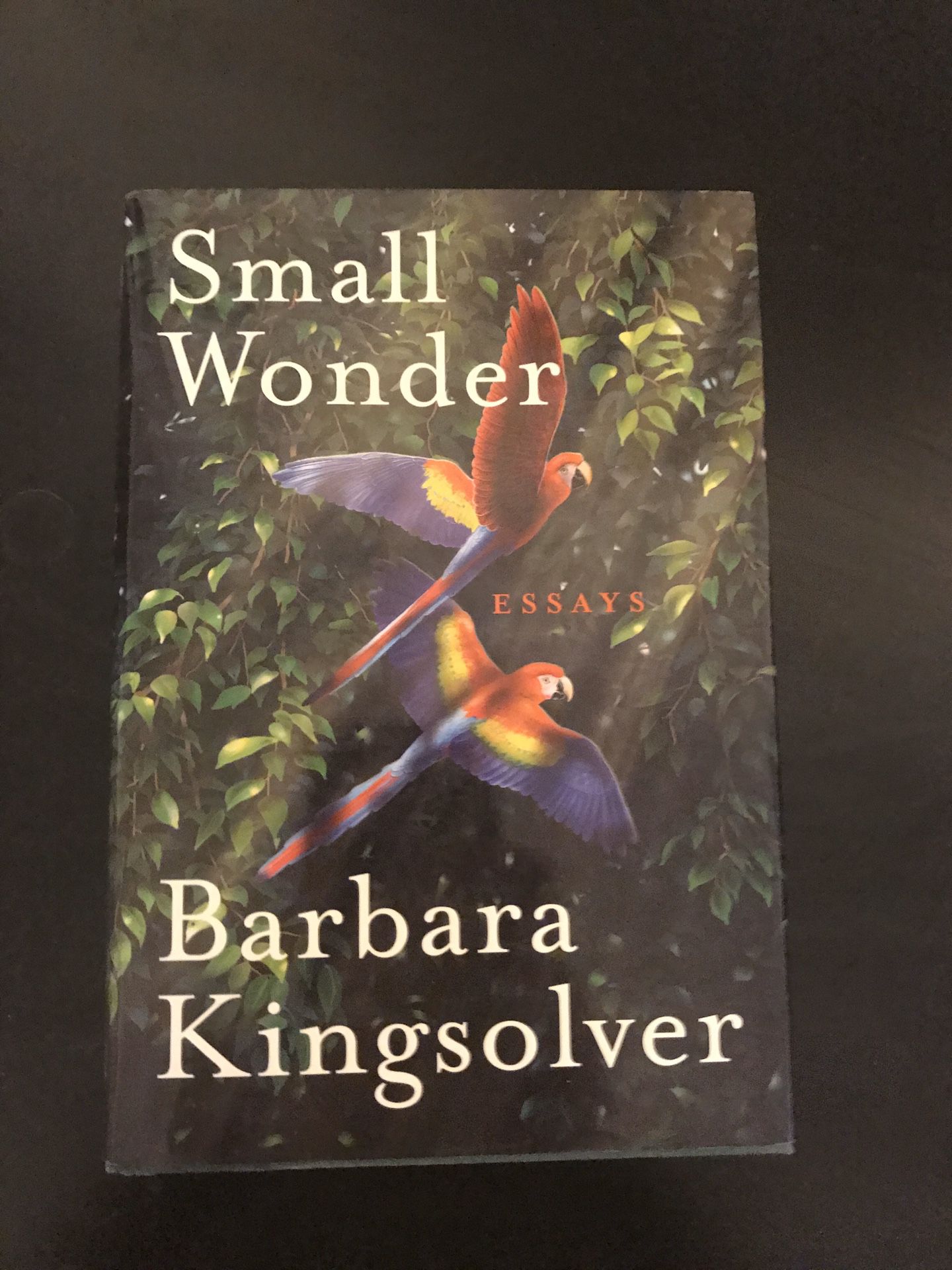 Small Wonder, Hardcover, Barbara Kingsolver, 1st Edition, Like New