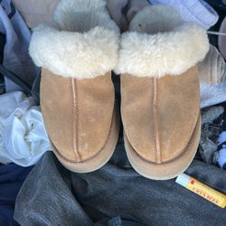 Uggs Slippers