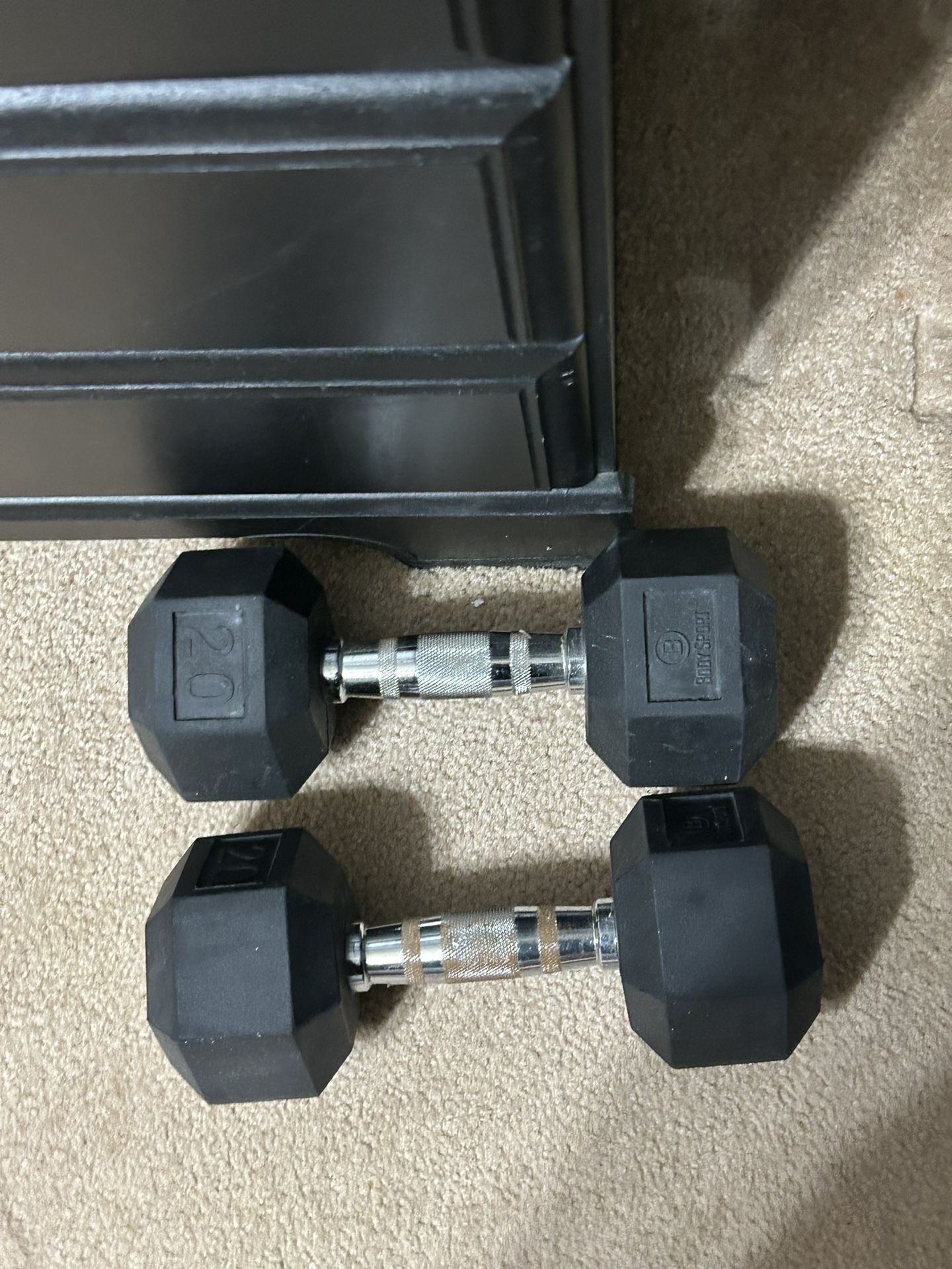20 lb Dumbbells