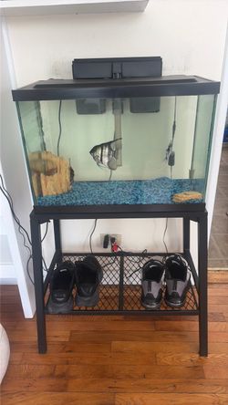 Fish tank. Live fish