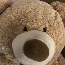 Giant Teddy Bear - Needs a “Forever Home”