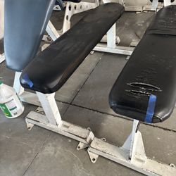 FOR SALE: Flex Fitness Flat Benches (Qty 2)