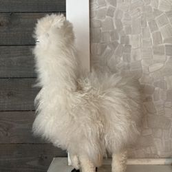 Alpaca From Peruvian Exchange