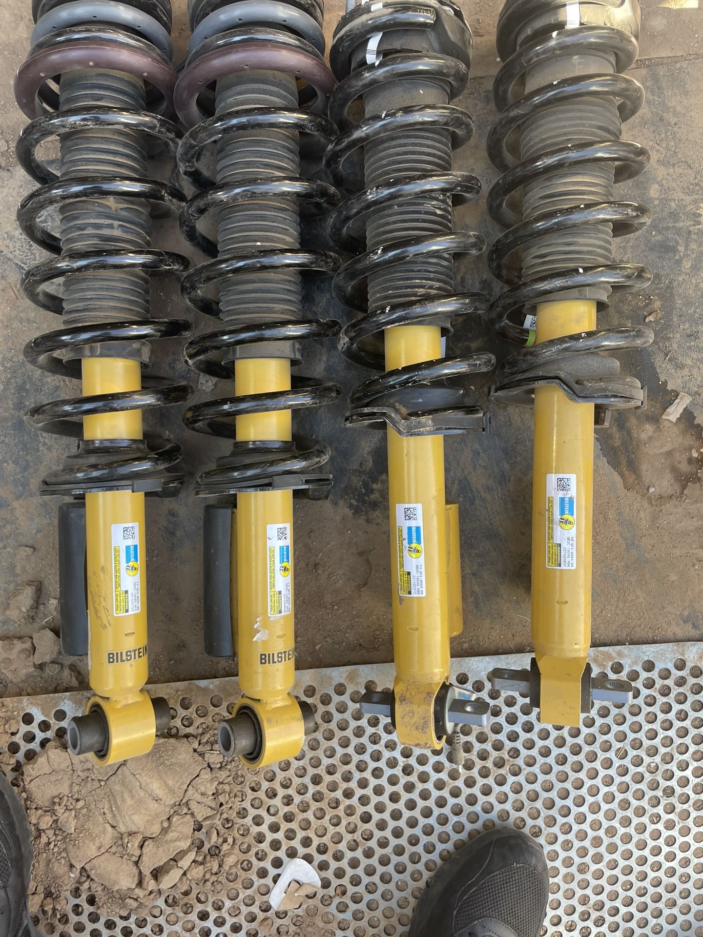 Bilstein Shocks