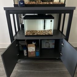 5 Gallon Aquarium 