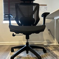 Mesh Ergonomic Desk Chair w/ Headrest 