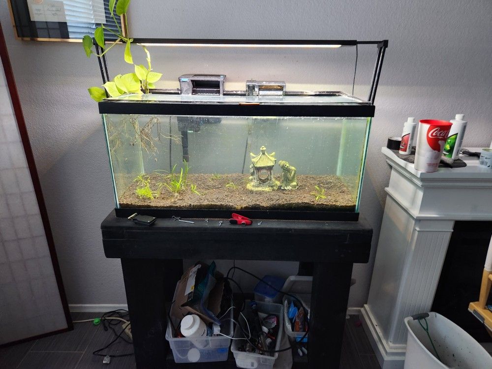 40 Gallon Breeder Style Fish tank with accessories