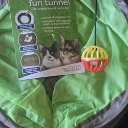 Cat Tunnel