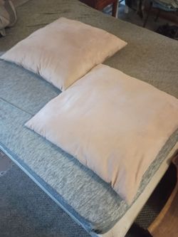 Two Leather pillows