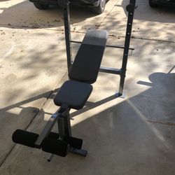 Gold’s Gym XR 6.1 Multi-Position Weight Bench with Leg Developer