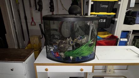 Best offer bow front aquarium glass 36 gallon with lots of extras