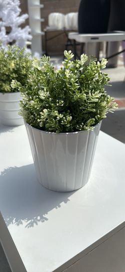 Faux IKEA Plants 🪴
