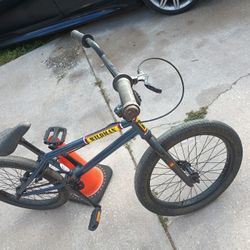 Wildman SE 20"  Ramp  Bike