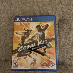 PS4 Cobra Kai