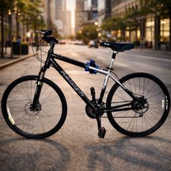 🚴‍♂️ Raleigh C200 Hybrid — Disc Brakes — 3x9 — Ready to Ride