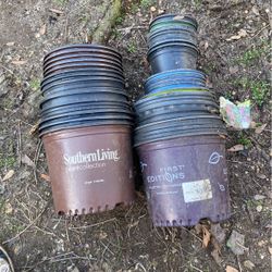 3 Gallons And 2 Gallons  Flowers Cans Or Bucket 