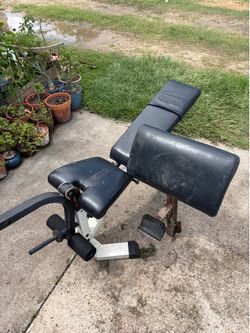 Gym heavy duty bench Nautilus