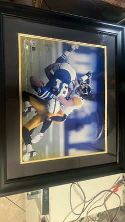 Football Autograph Troy Polamalu 16x20 Framed