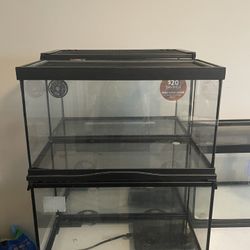 20 Gallon Reptile Tank