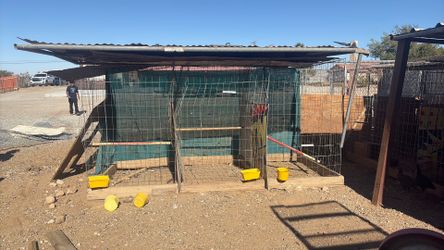 Cages