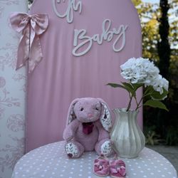 Baby Shower Event
