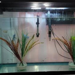 Fish Tank