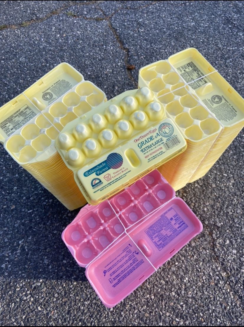 Egg Cartons