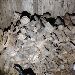 Firewood Axe Split Hardwood For Sale