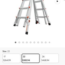 Little Giant Ladder 22’