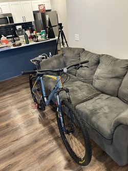 2022 Giant Talon 3 XL, 29”