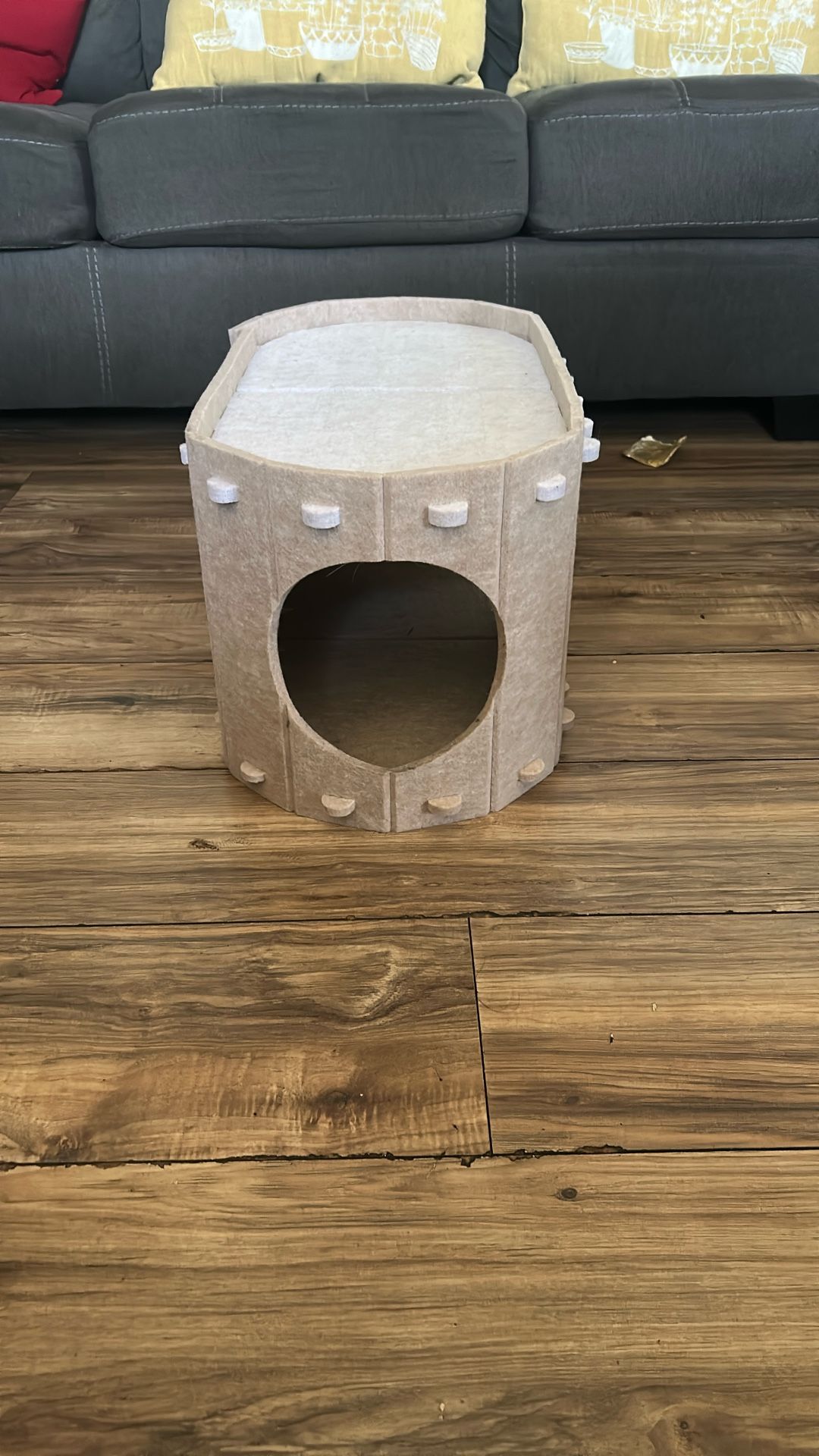 For Cat SOr Small Dogs