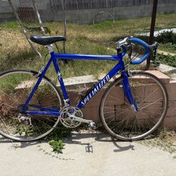 Specialized Road Bike