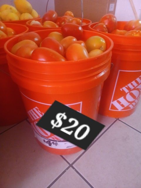 Tomate$20 El Bote