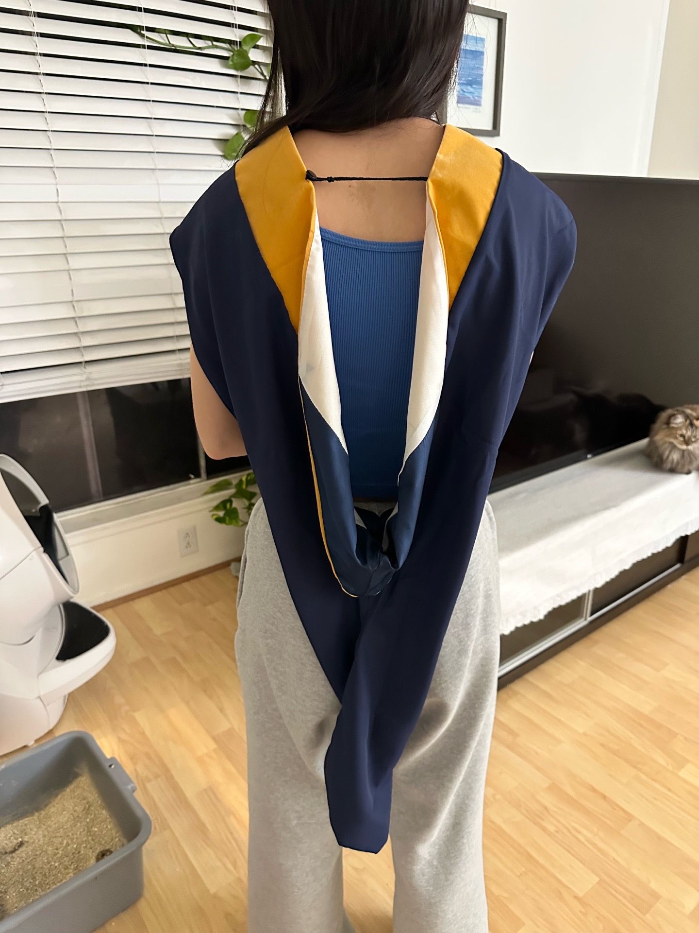 CSUF Graduate Hood + Cord