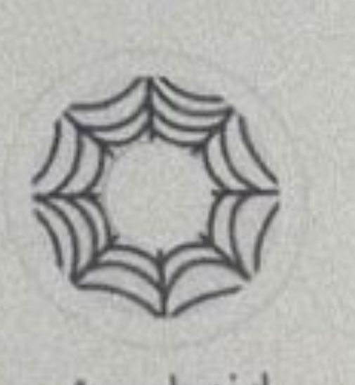 Halloween Contact Lenses (MONTHLY’S) 💀👻🎃🧟