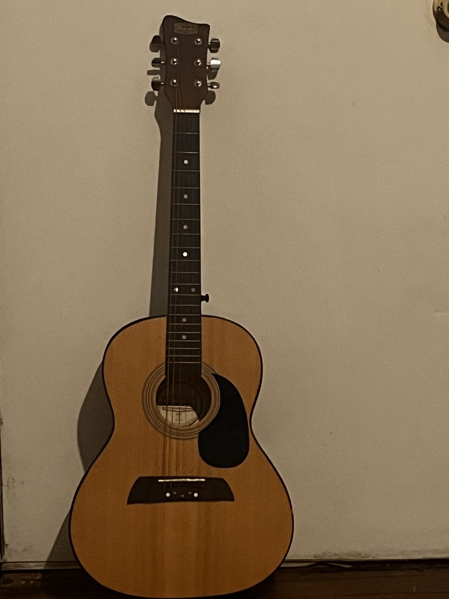 Acoustic Guitar