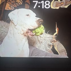 13” IPad AIR M2 256GB WiFi+Cellular