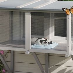 Window Catio 